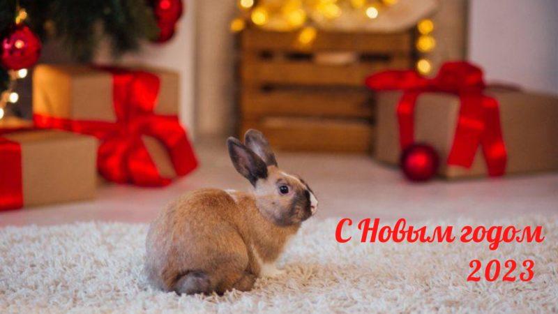 Шпалери з Кроликами на Новий рік 2023: безкоштовно!