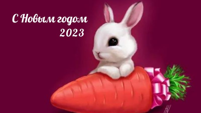 Шпалери з Кроликами на Новий рік 2023: безкоштовно!
