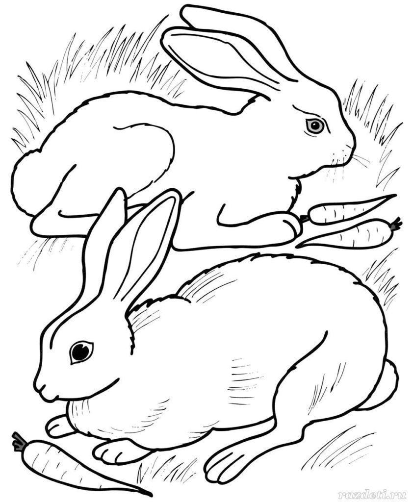 Розмальовки з Кроликами та Зайцями на Новий рік 2023