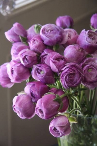 Привітання з Вознесінням українською мовою