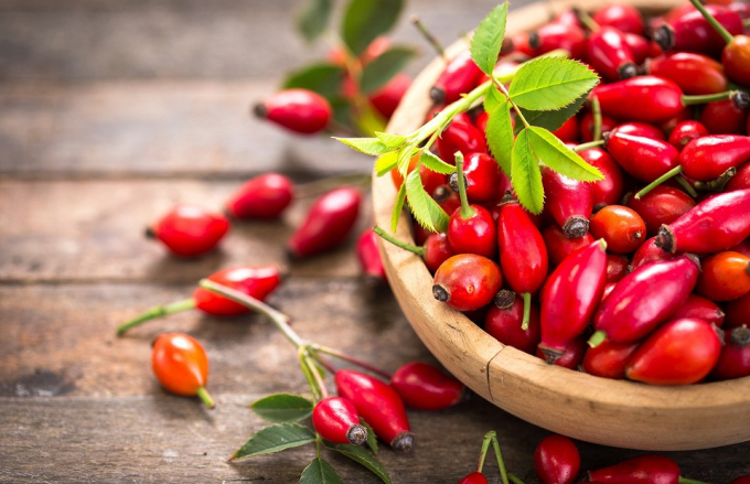 Скинути вагу без тренувань, зарядитися енергією, повернути особі сяючий колір: як працює фітотерапія