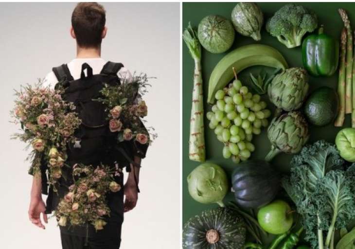 Усього 2 питання, які варто поставити собі, перш ніж стати веганом