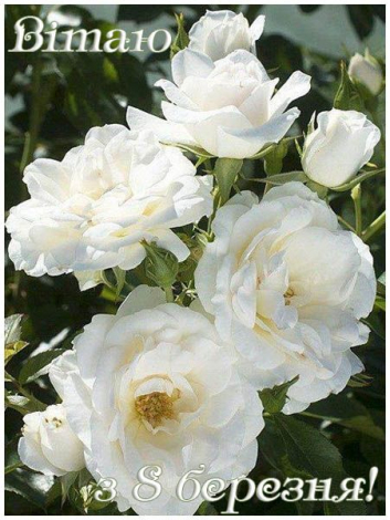 Гарні привітання з 8 Березня простими словами