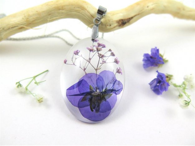 Ім'я Віола: значення, походження, доля