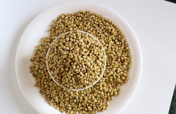 Кардамон, мускатний горіх, кунжут: яка спеція найкраще впливає на тебе за знаком зодіаку