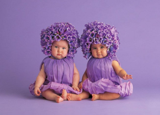 Ім'я Віола: значення, походження, доля