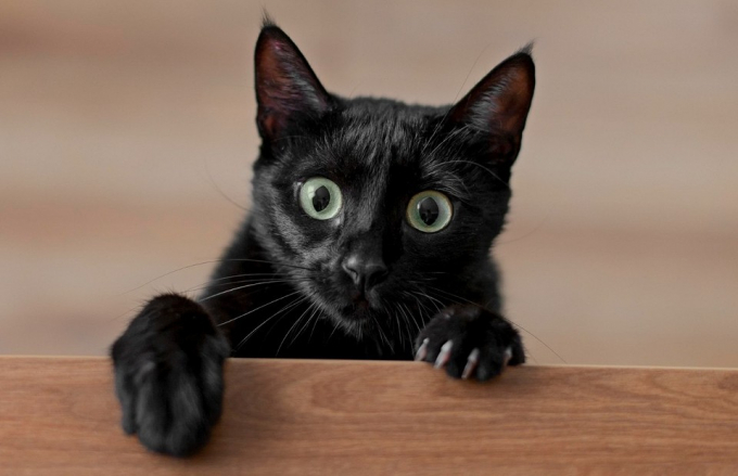 Ворожіння на Святки: на нитках, папері, воску, чарівному валянку і не тільки