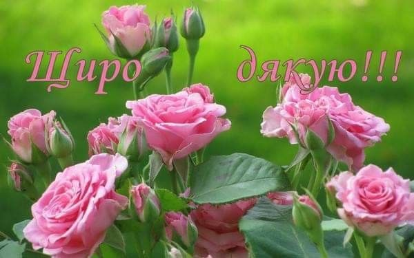 Слова дякую за привітання з днем народження до сліз