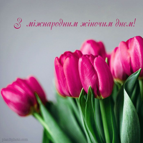 Щирі привітання з 8 Березня українською мовою