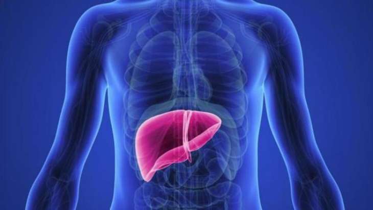 Ознаки пошкодження печінки, які небезпечно ігнорувати