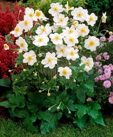 Що означає ім'я Дарина для дівчинки: тлумачення, походження, характер та доля