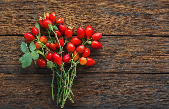 Трав'яний чай замість таблетки: як знизити тиск, прискорити обмін речовин і не лише