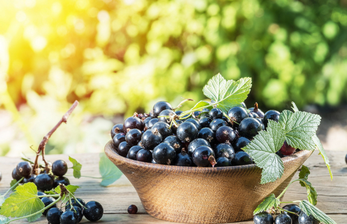 Лови момент: 7 корисних літніх ягід