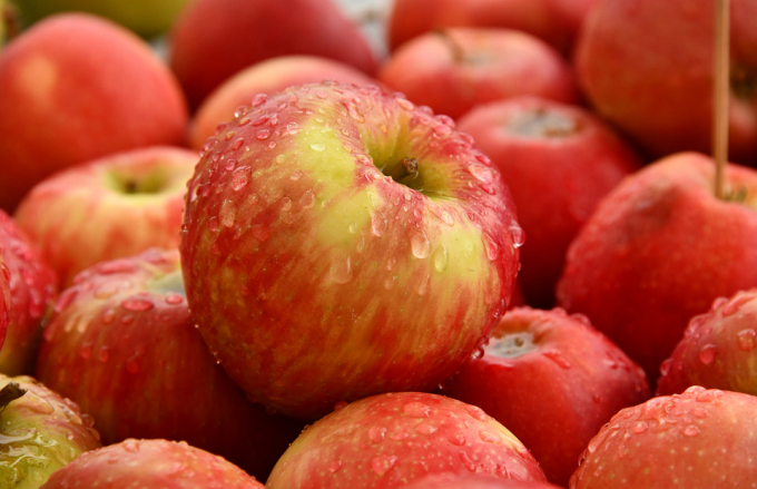 Секрет молодості на тарілці: їжа та напої, які уповільнюють старіння