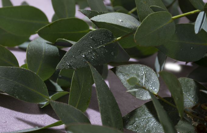 Приймаємо ванну з користю: 5 найкращих ефірних олій для повного розслаблення