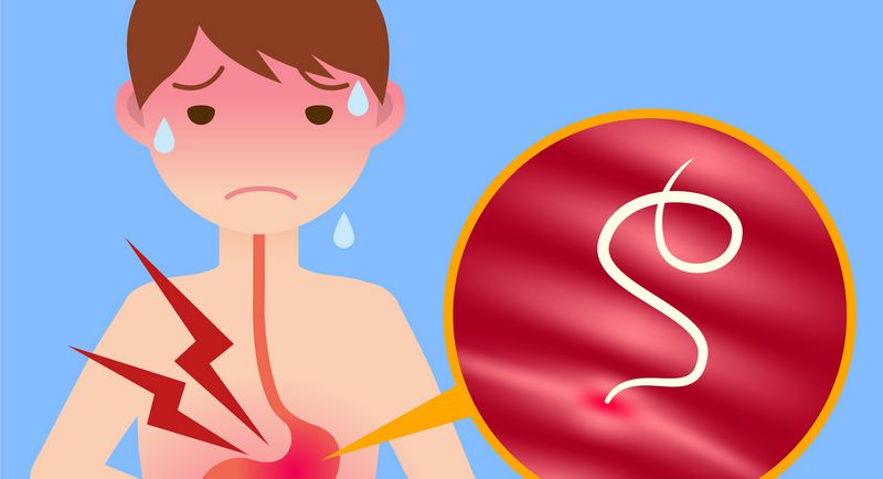 Діагностика гельмінтозів