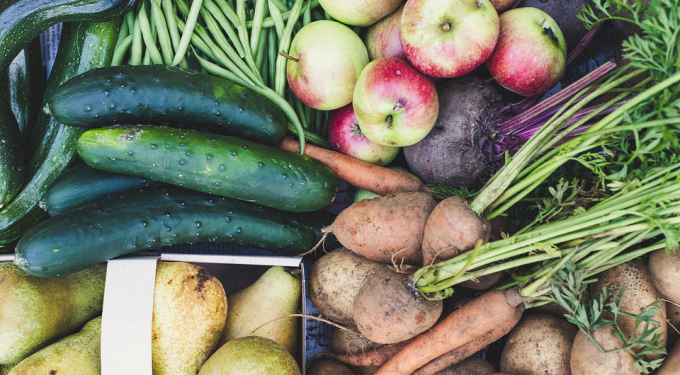 Що таке гмо-продукти і чи можна їх їсти