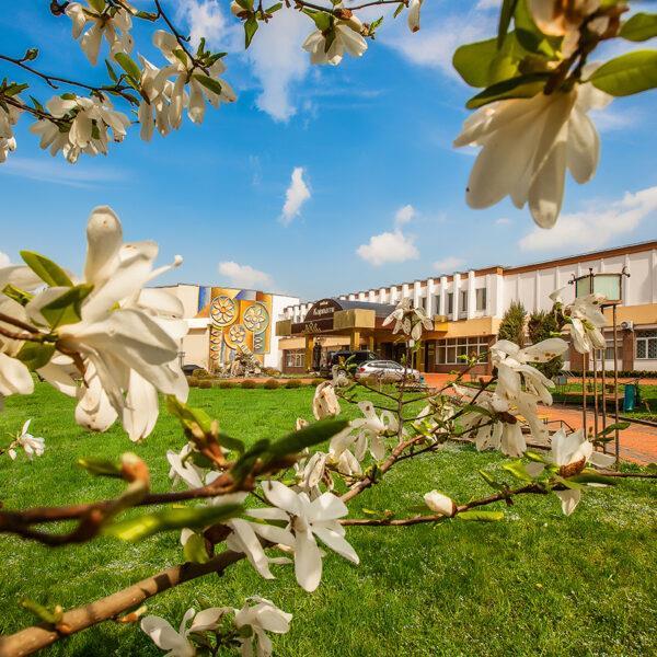 Санаторій Карпати Трускавець