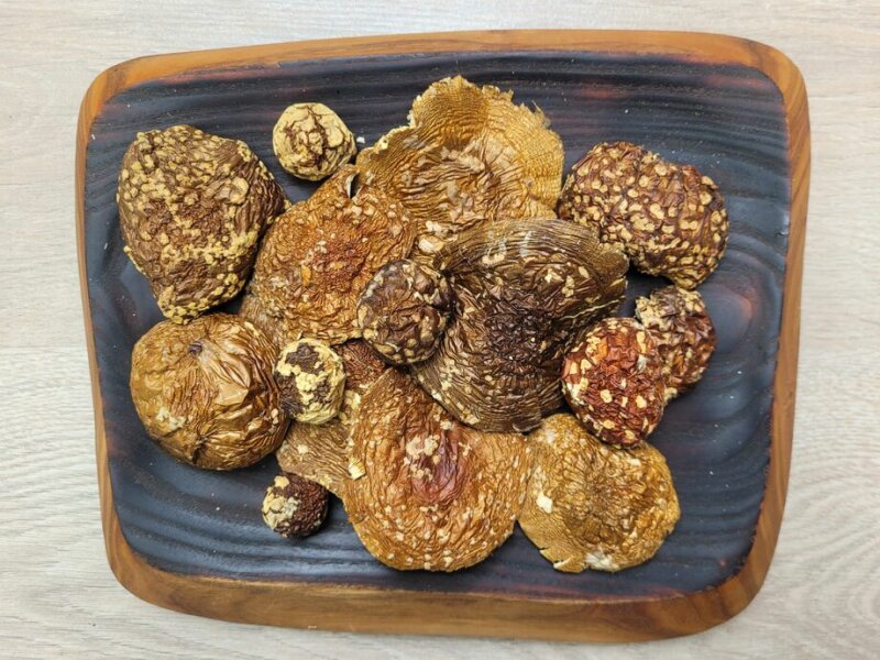 Пантерный мухомор